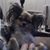 Ron Batten's profile image
