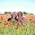 Amanda Parker Trickey's profile image