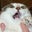 Mike Wylde's profile image