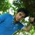 Masoud As's profile image