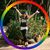 Stacey Dolfi's profile image