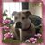 Anita Slape Montoya's profile image