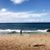 Coi Puriri's profile image