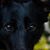 Eric Sollars's profile image