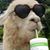 Bunny Williams's profile image