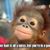 Brian Vowles's profile image