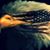 Brenda Conrad's profile image