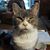 Ted Krebbeks's profile image