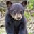 Barbara Groscost's profile image