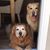 Kim Collier-Endress's profile image
