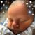 Diane O'Neill Morrissey's profile image