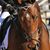 Carolann Bartels's profile image