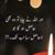 Rana Arslan Afzal Khan's profile image