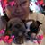 Catherine Hawkins's profile image