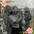 Latoya Jo Cross's profile image