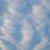 Diane Britto Denker's profile image