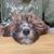 Tom Bertling's profile image