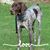 Kim Waldrup's profile image