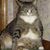 Gilda Lyons Thomas's profile image