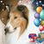 Dianne Burke's profile image