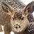 Melissa Foote's profile image