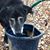Dana Bridges Satterfield's profile image