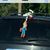 Donna Snell Cruger's profile image
