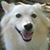 Kendall Bracamonte-Johns's profile image