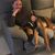 Natalia Danilochkina's profile image