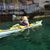 Dana Diver's profile image
