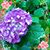 Kathy Griffith DeLancy's profile image