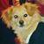 Julie Navejas's profile image