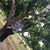 Niveditha Mullapudi's profile image