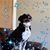 Robert Jay Reeve's profile image