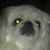 Lynn Hughes's profile image