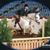 Erin Farnsworth's profile image