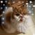 Kathreen Magnusson's profile image