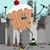 Sherri Sokol's profile image