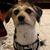 Tracy Stuver's profile image