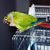 Linda D Fava's profile image