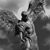 Tom Jost's profile image