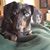 Marianne Poohachoff's profile image