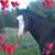 Heather Bartz's profile image