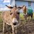 Sarah Reid's profile image