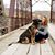 Lindsay Metcalf's profile image