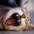 Martha Brown's profile image