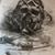 Humberto Tun's profile image