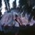 David Hinshaw's profile image