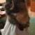 Lorraine Territo's profile image