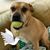Eddy R Killingsworth's profile image